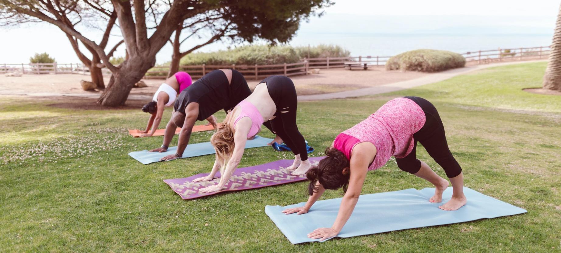 Peaceful morning yoga practice in natural light